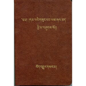 New Tibetan Bible: Tibetan NT