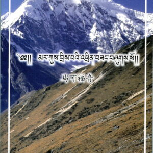 Gospel of Mark 2nd edition